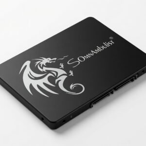 SSD Interno SomnAmbulist H650 256 GB SATA III